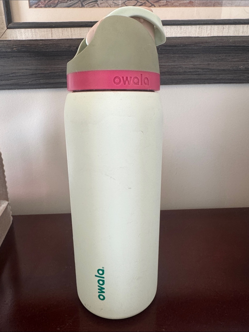 owala Women's Mint & Pink Insulated Water Bottle